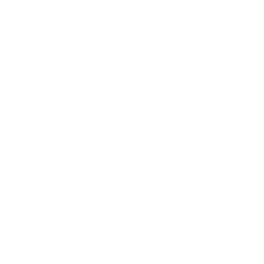 Logo Sébastien Goachet Institut